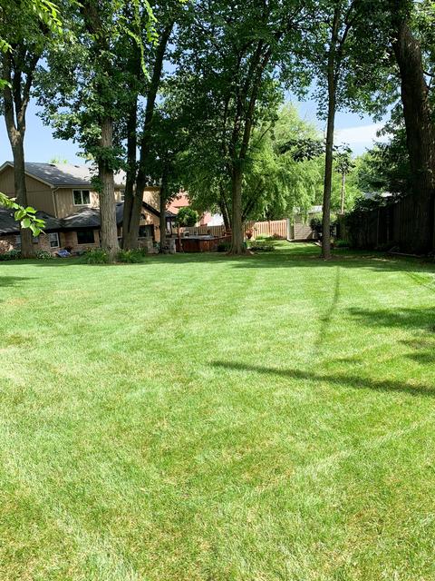 9 S565 Allison Ct, Willowbrook, IL 60527 photo 38