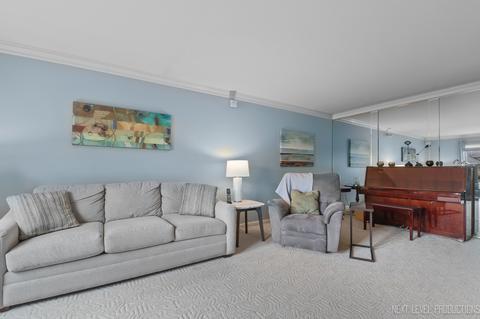9 S565 Allison Ct, Willowbrook, IL 60527 photo 7