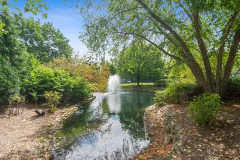 2569 Windrush Ln, Northbrook, IL 60062 photo 29