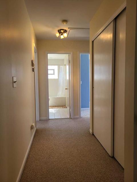 1441 Maple St, Glenview, IL 60025 photo 22