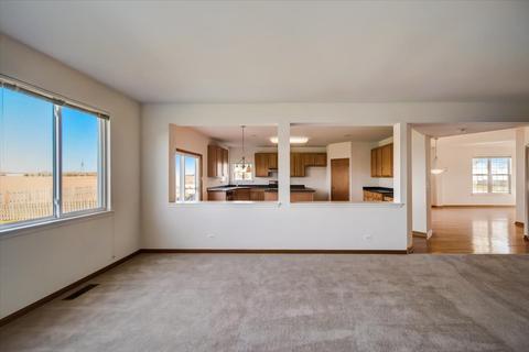 815 Christopher St, Plano, IL 60545 photo 11