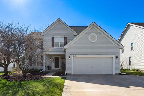 1009 Teasel Ln, Aurora, IL 60504 photo 1