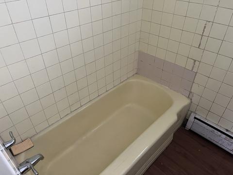 318 E 87th St, Chicago, IL 60619 photo 4