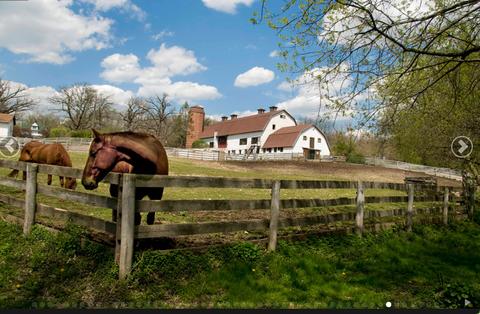 256 Stonegate Rd, Trout Valley, IL 60013 photo 43