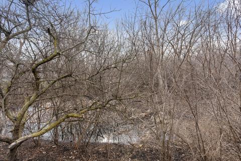 987 Willow St, Itasca, IL 60143 photo 26