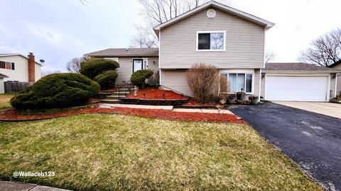 224 Pheasant Rd, Matteson, IL 60443 photo 1