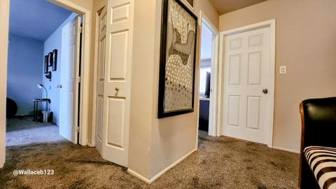 224 Pheasant Rd, Matteson, IL 60443 photo 20