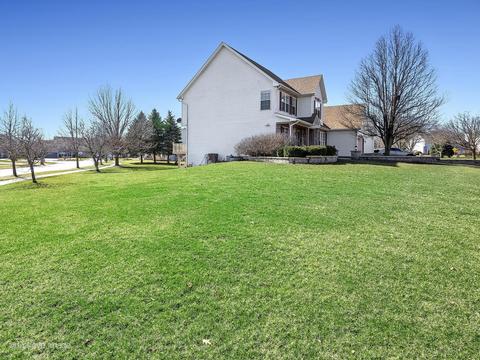 12945 Denise St, Plainfield, IL 60585 photo 28