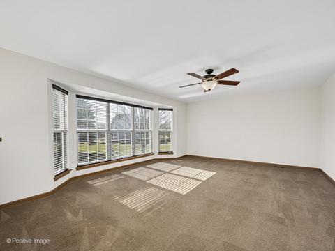 12945 Denise St, Plainfield, IL 60585 photo 12