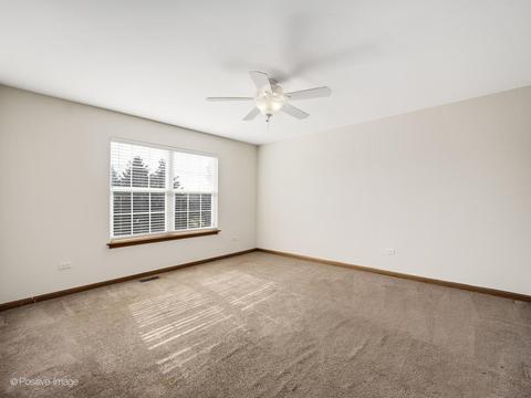 12945 Denise St, Plainfield, IL 60585 photo 20