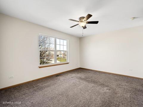 12945 Denise St, Plainfield, IL 60585 photo 19