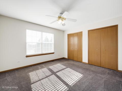 12945 Denise St, Plainfield, IL 60585 photo 18