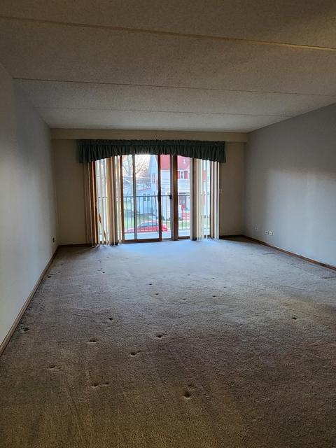1600 E Thacker St #212, Des Plaines, IL 60016 photo 23