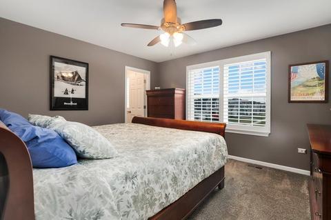 12312 Dublin Ln, Plainfield, IL 60585 photo 24