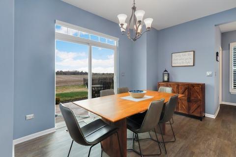 12312 Dublin Ln, Plainfield, IL 60585 photo 10