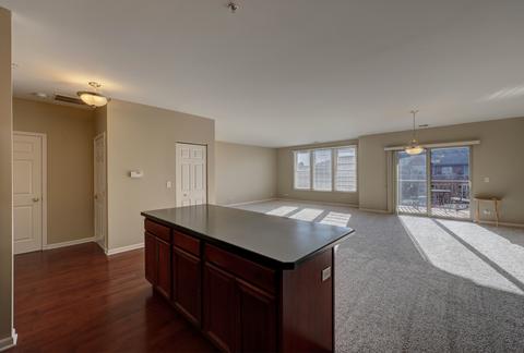 267 E Railroad Ave #204, Bartlett, IL 60103 photo 12
