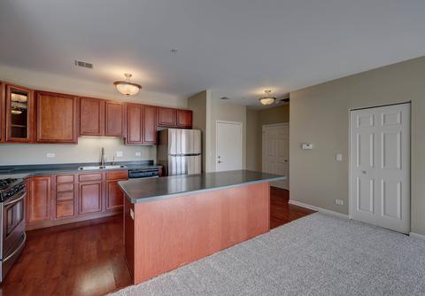 267 E Railroad Ave #204, Bartlett, IL 60103 photo 9