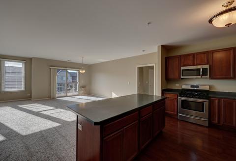 267 E Railroad Ave #204, Bartlett, IL 60103 photo 11