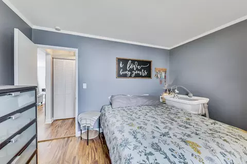 3005 Martin Ln, Rolling Meadows, IL 60008 photo 17