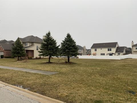 258 Pine St, Beecher, IL 60401 photo 1