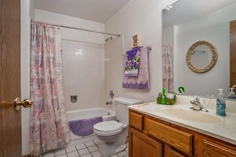 21310 Silktree Cir, Plainfield, IL 60544 photo 15