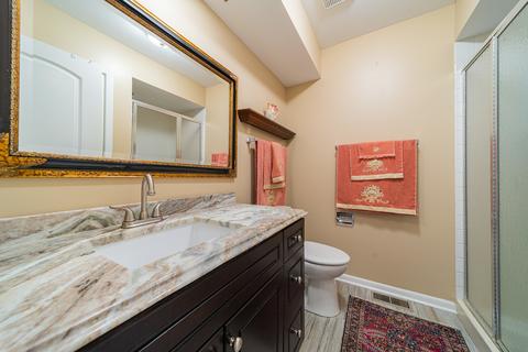 205 Shadow Bend Dr, Wheeling, IL 60090 photo 17