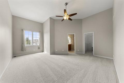 12703 Wild Rye Ct, Plainfield, IL 60585 photo 15