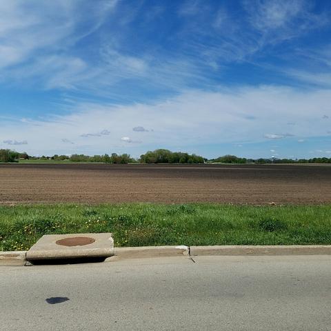 0 Caron Flagg Rd, Rochelle, IL 61068