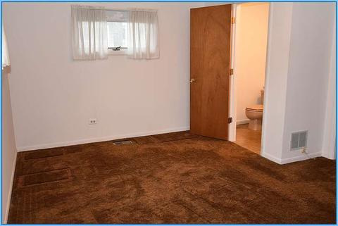 224 S Summit St, Wheaton, IL 60187 photo 10