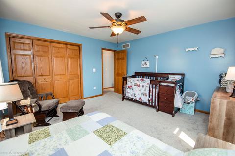 26716 S Oak River Dr, Monee, IL 60449 photo 34