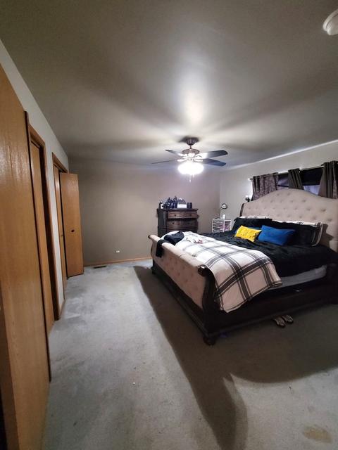 25548 S Mccorkle Ave, Monee, IL 60449 photo 7