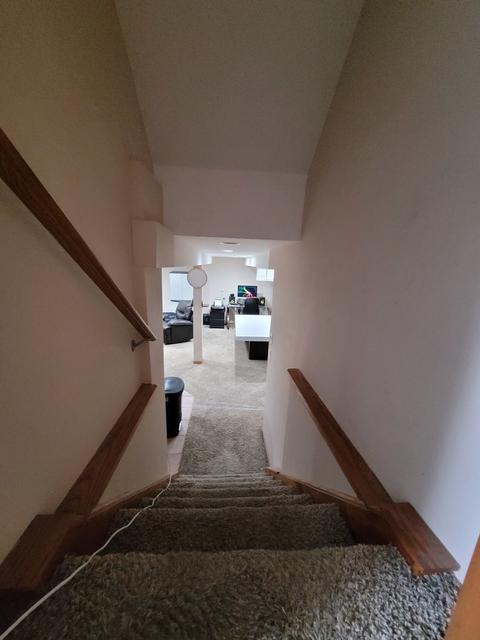 25548 S Mccorkle Ave, Monee, IL 60449 photo 10
