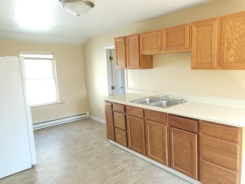 316 Spring St, Aurora, IL 60505 photo 10