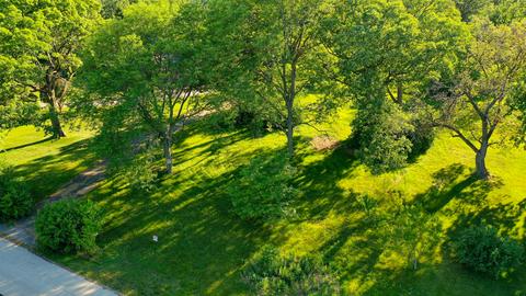 2 Paddock Ln, Lemont, IL 60439 photo 4
