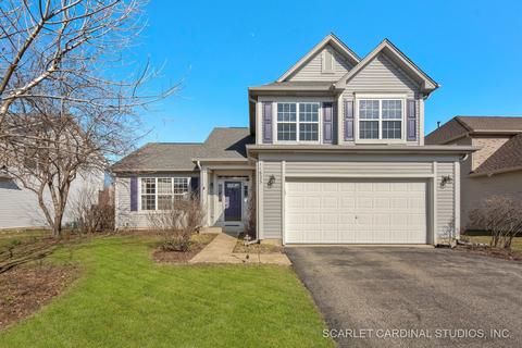 11625 S Decathalon Ln, Plainfield, IL 60585 photo 1