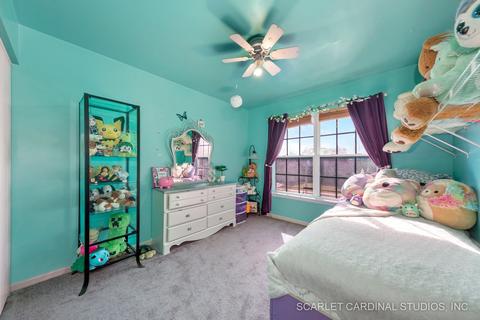 11625 S Decathalon Ln, Plainfield, IL 60585 photo 14