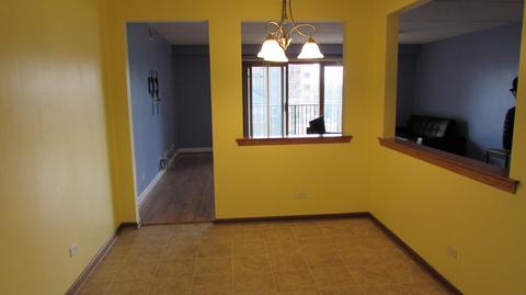 1600 E Thacker St #403, Des Plaines, IL 60016 photo 11