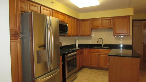 1600 E Thacker St #403, Des Plaines, IL 60016 photo 7