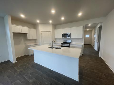 25529 W Veranium Dr, Plainfield, IL 60544 photo 7