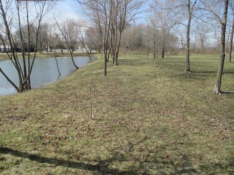 10 Anthony Ct, Wayne, IL 60184 photo 3