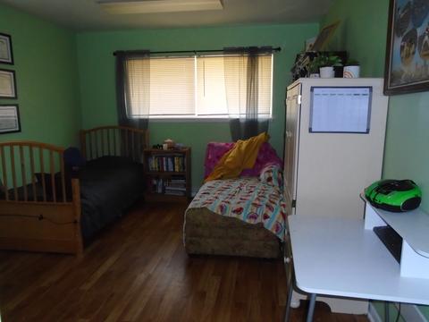 303 E Cleveland St, Spring Valley, IL 61362 photo 13