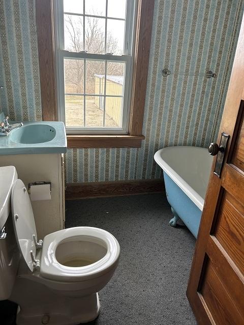 231 Walnut St, Elliott, IL 60933 photo 8
