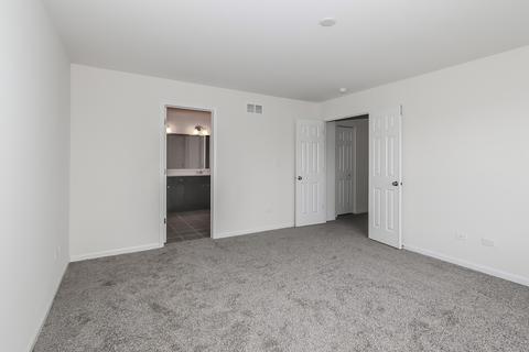 26604 W Red Apple Rd, Plainfield, IL 60585 photo 20