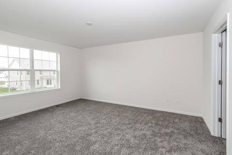26604 W Red Apple Rd, Plainfield, IL 60585 photo 30