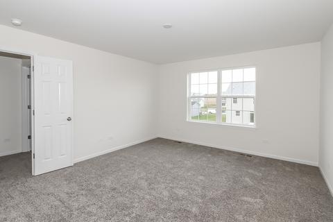 26604 W Red Apple Rd, Plainfield, IL 60585 photo 19
