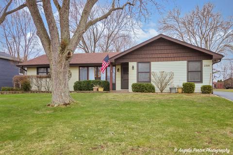 2309 Briar Ln, Lindenhurst, IL 60046
