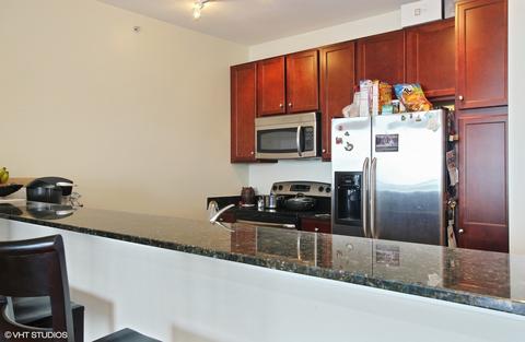 100 E 14th St #3003, Chicago, IL 60605 photo 5