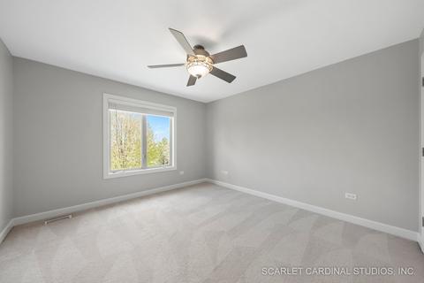 23035 Eider Dr, Plainfield, IL 60585 photo 19