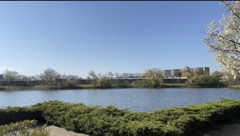 6138 Willowhill Rd #D, Willowbrook, IL 60527 photo 28