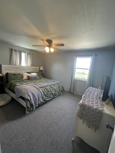 308 W Williams St, Dwight, IL 60420 photo 6